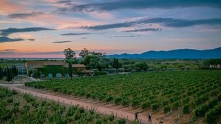 Degustazione di vini e tour a Mas Baux