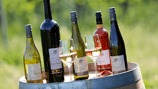 Weingut Karl Wegner
