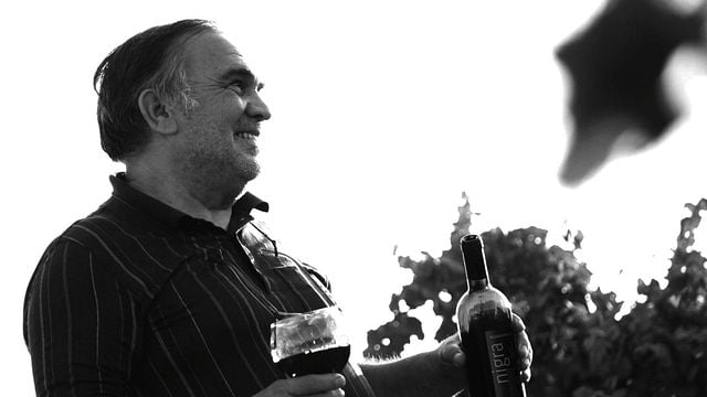 Dégustation de vins et visite chez Romaldo Greco