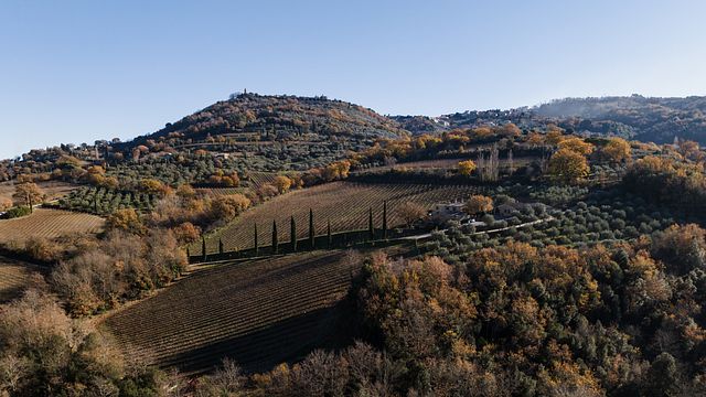 Casanuova delle Cerbaie Winery