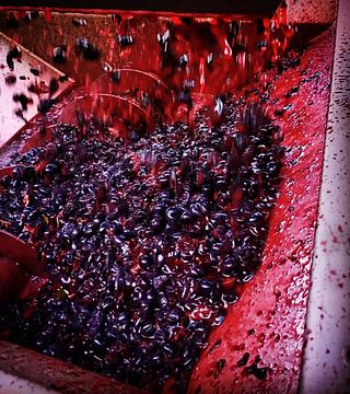 La Biagiola Winery