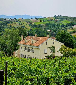 Alepa Winery