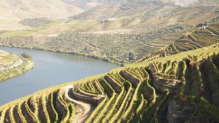 Visite de luxe du Douro