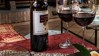 Les Quatre Magnifiques – Expérience Vin Rouge bio