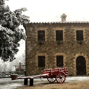 Dégustation de vins et visite à Alussinante