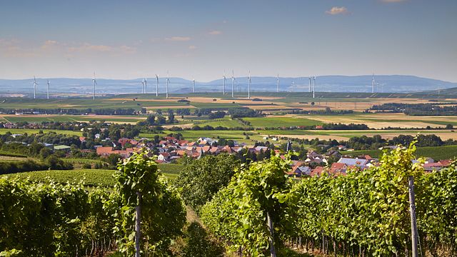 Rheinhessen Wine & Vineyard Journey at Weingut Hauck