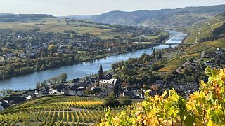 Pranzo e degustazione di vini a Weingut Gindorf
