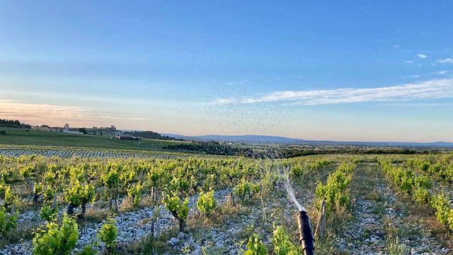 Domaine Des Maravilhas