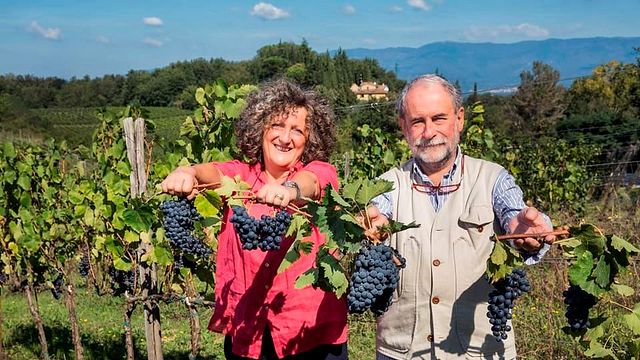 Degustazione "Fan" Dégustation n° 3 vins