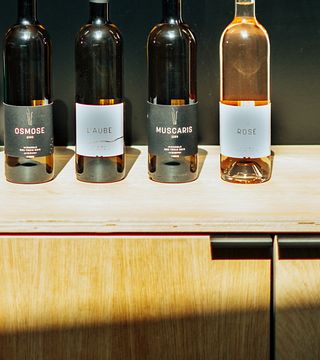 Degustazione di vini e tour dei vigneti