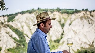 Taste Organic Wines with Local Pickles in Emilia-Romagna