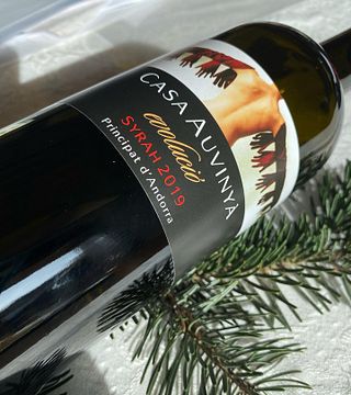 Visita alla cantina con degustazione vini e pranzo presso Casa Auvinya