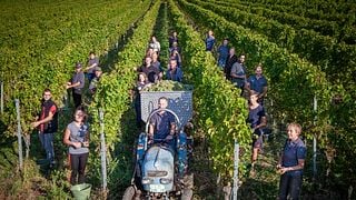 Dégustation de vins et visite au Wein und Sektgut Wilhelmshof