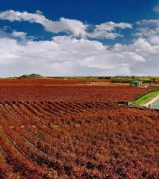 Vivanco Winery