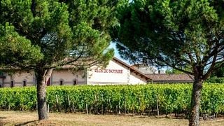 Cata de vinos, maridaje y visita al Château Le Clos du Notaire