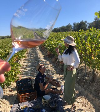 Journée complète dans le vignoble de Montilla-Moriles, au départ de Cordoue.
