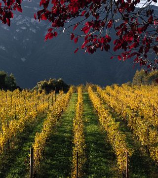 Borgo Dei Posseri: A Hidden Gem in Trentino-Alto Adige