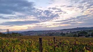 Indulge in Tuscan Wine & Canapé Sensory Journey