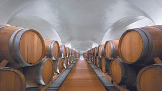 Winevisionary- Tour, Wine & Hirpinian Flavours