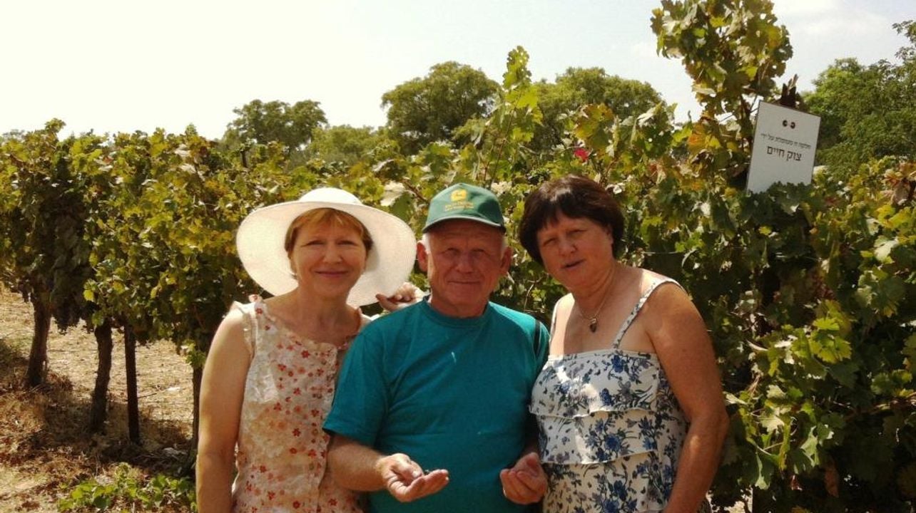 Tour do vinho no norte de Israel