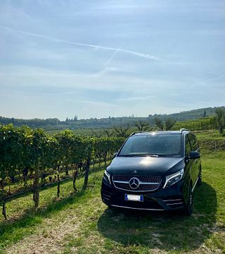 Weinerlebnis in Valpolicella mit Mittagessen und privatem Transfer