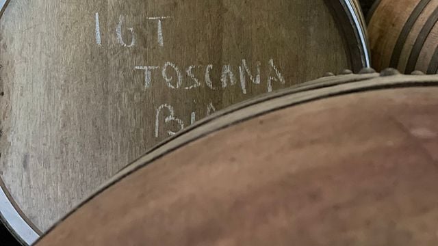 Wine Tour and Tasting at Cosimo Maria Masini