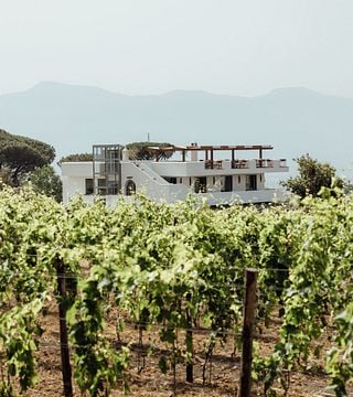 Vesuvio Wine & Views: Campania Tasting Tour