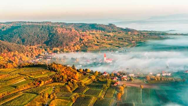 Weinprobe und Führung im Weingut Tom Dockner