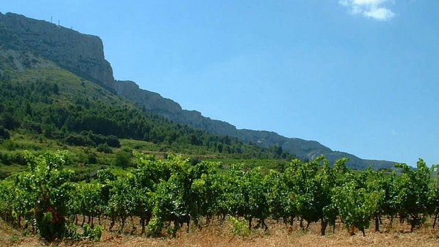 Abendliche Weinprobe und Tour im Domaine Vents du Sud