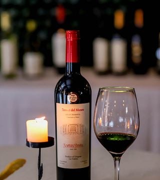 Wine tasting only