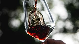 Cata y visita de vinos premium en Bric Cenciurio