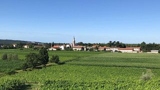 Dégustation de vins et visite à la Cantina Produttori Cormons