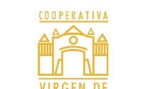Dégustation de vins et visite des Bodegas Virgen De La Oliva