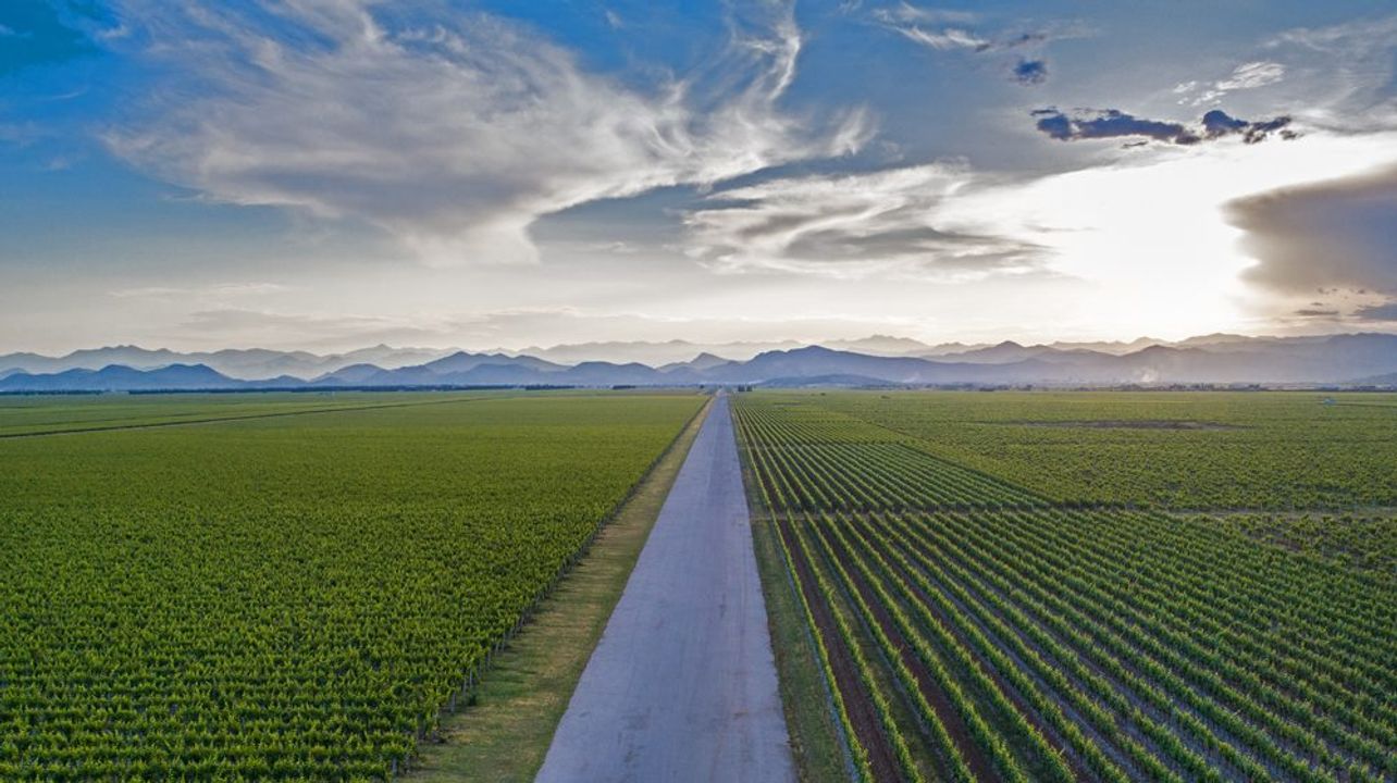 Tour della Strada del Vino di Podgorica