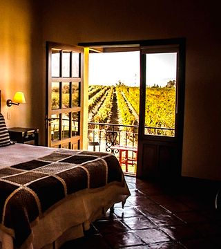 Degustazione di vini e tour a Tukma