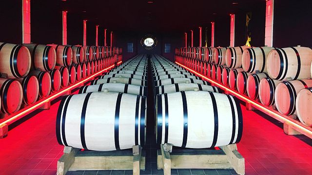 Bordeaux Elegance: Château Destieux Wine & Vineyard Journey