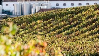 Degustazione di vini e tour popolari a Quinta Do Sanguinhal