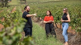 Tour alla scoperta di Ground to Glass
