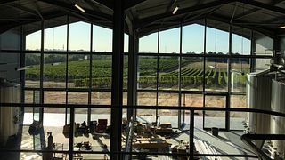 Château Lauduc: A Family Legacy in Bordeaux