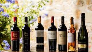 Tenuta Sette Ponti