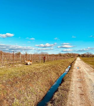 Sassotondo Winery