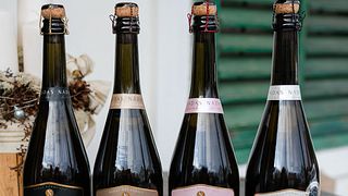Degustazione di vini in una piccola e accogliente azienda vinicola a conduzione familiare vicino a Budapest