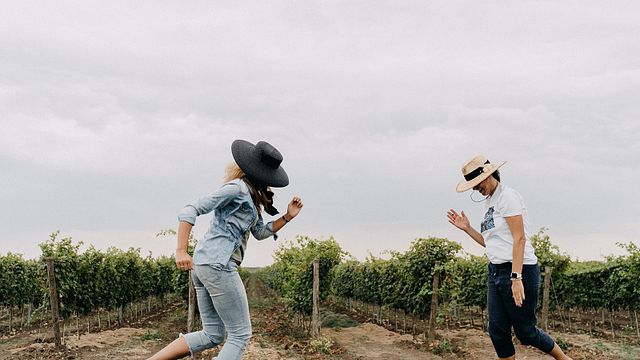 Degustação de vinhos e passeio em Et Cetera