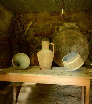 Visita alla cantina e degustazione di vini a Bodega Torgo