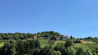 Vinprovningsupplevelse på Caves de Grevenmacher