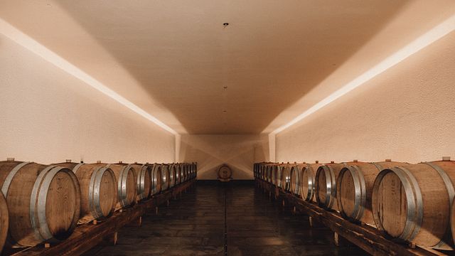 Guidad tur och vinprovning på Pitzner Winery