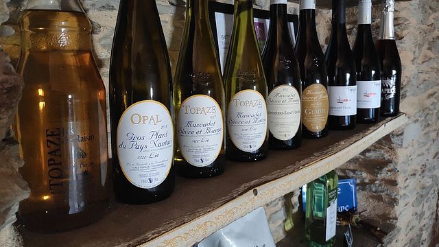Degustazione di vini e tour a Gaec Topaze