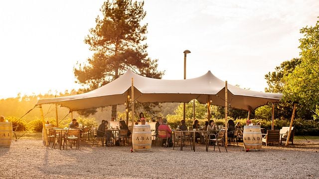 À la découverte des vins d'Abadal