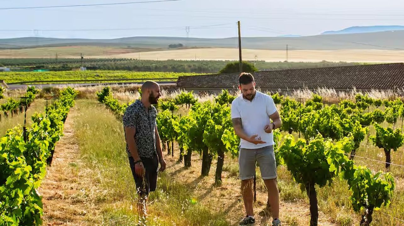 Bodegas Carpe Diem