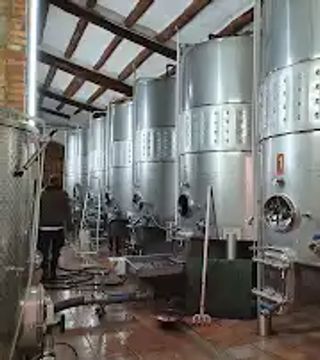 Visita e degustazione didattica per principianti | Celler Josep Foraster